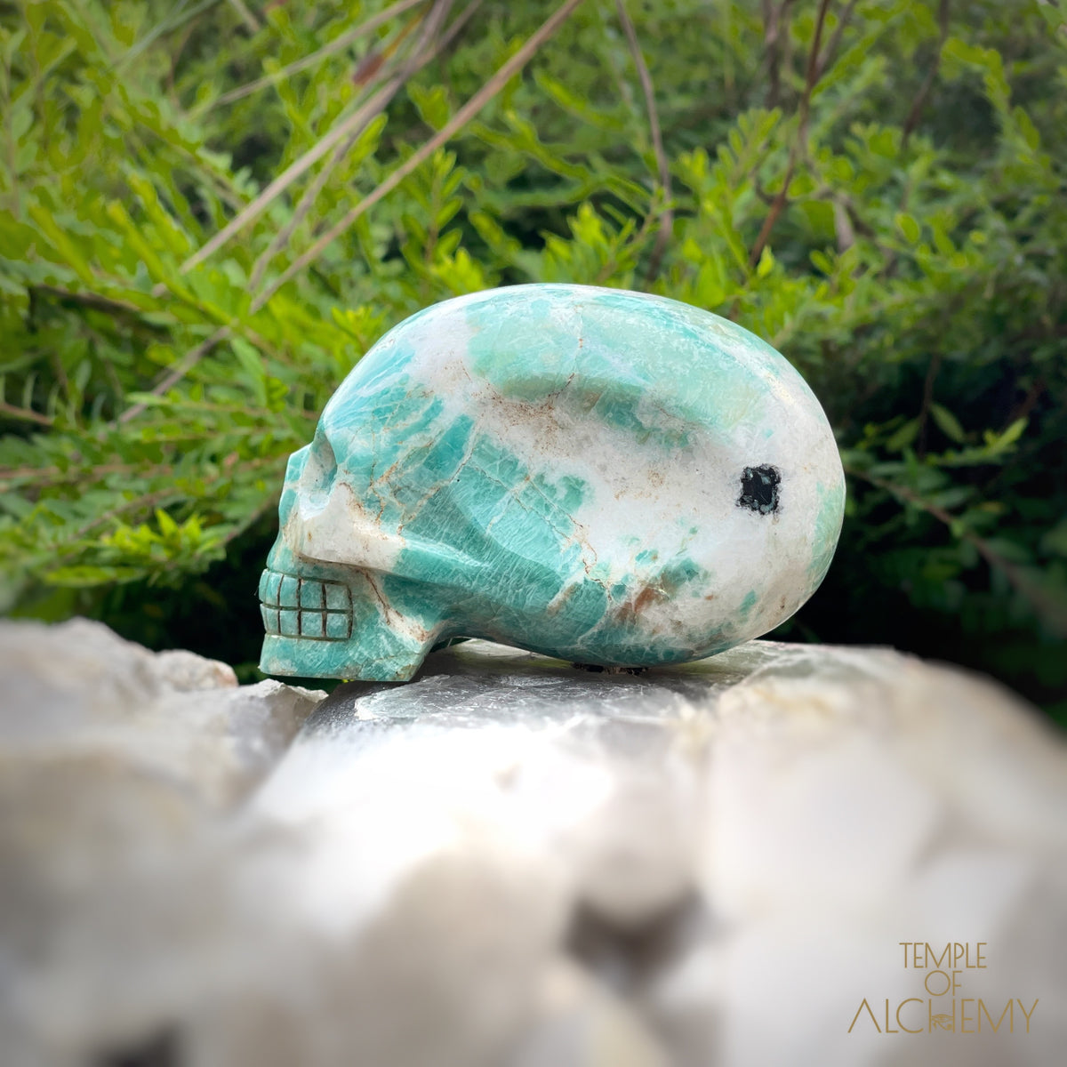 Amazonite x Black Tourmaline