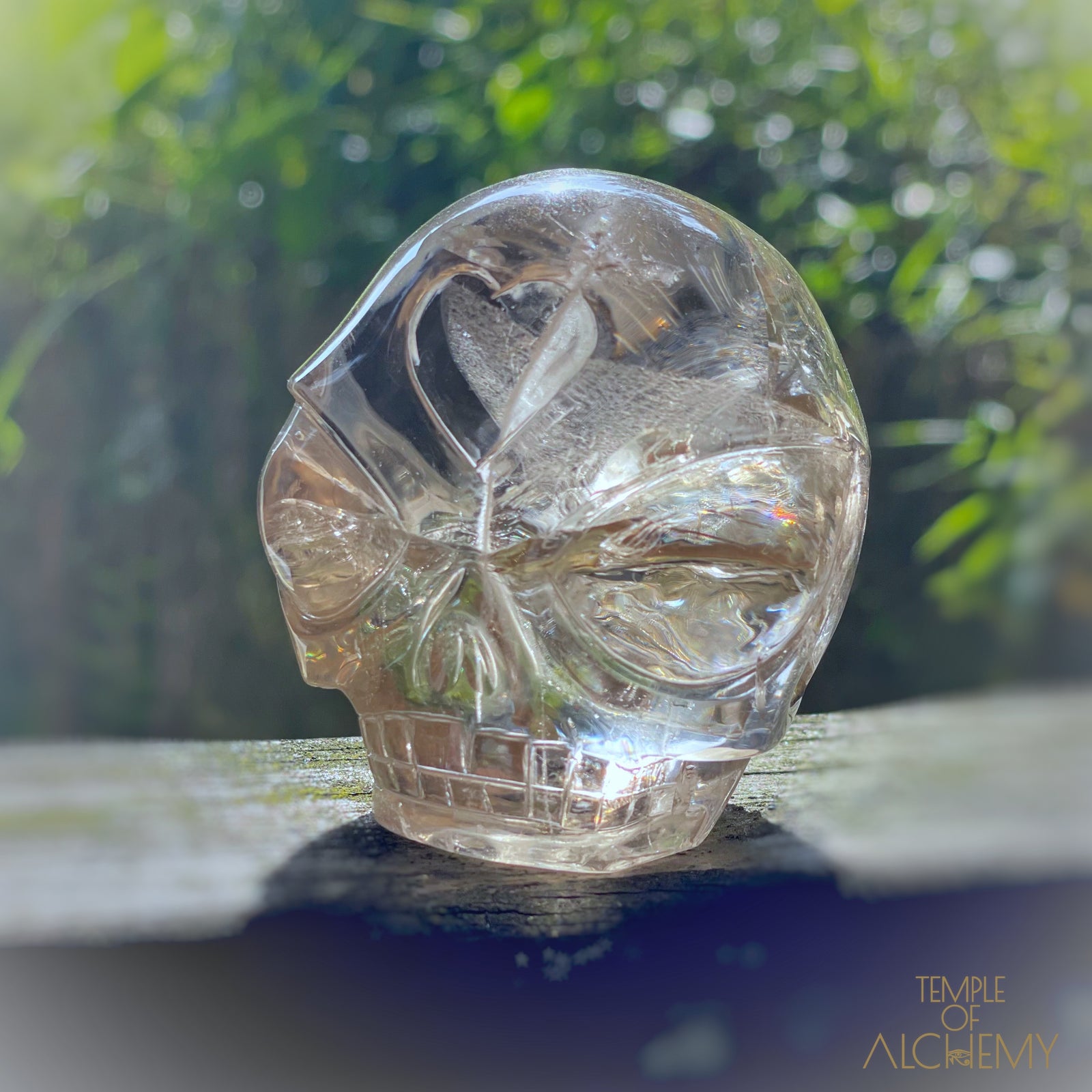 Citrine 👁🌈👁