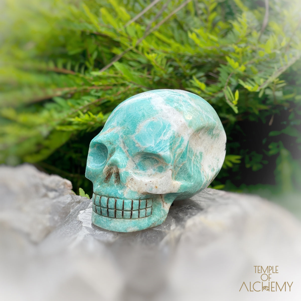 Amazonite x Black Tourmaline