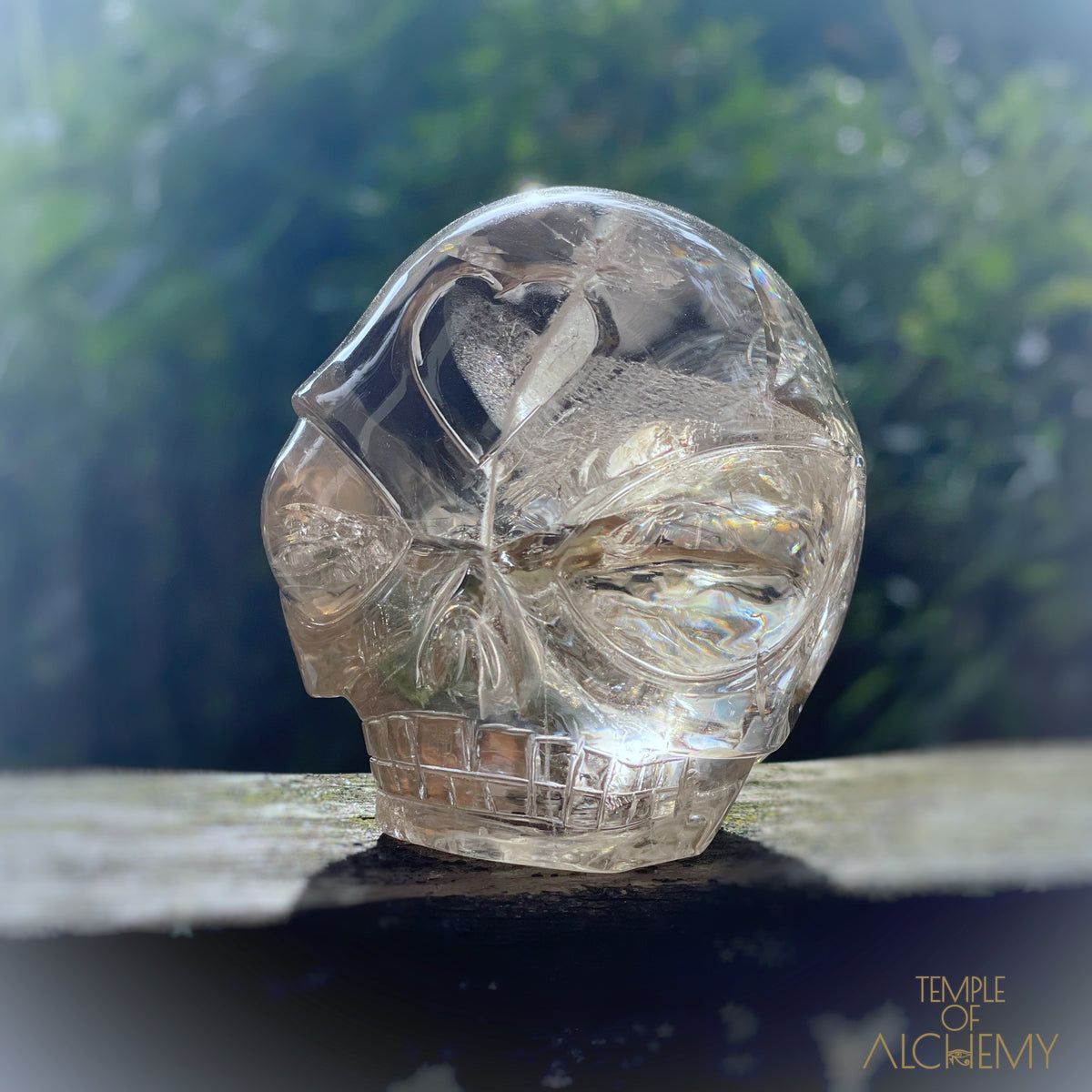 Citrine 👁🌈👁