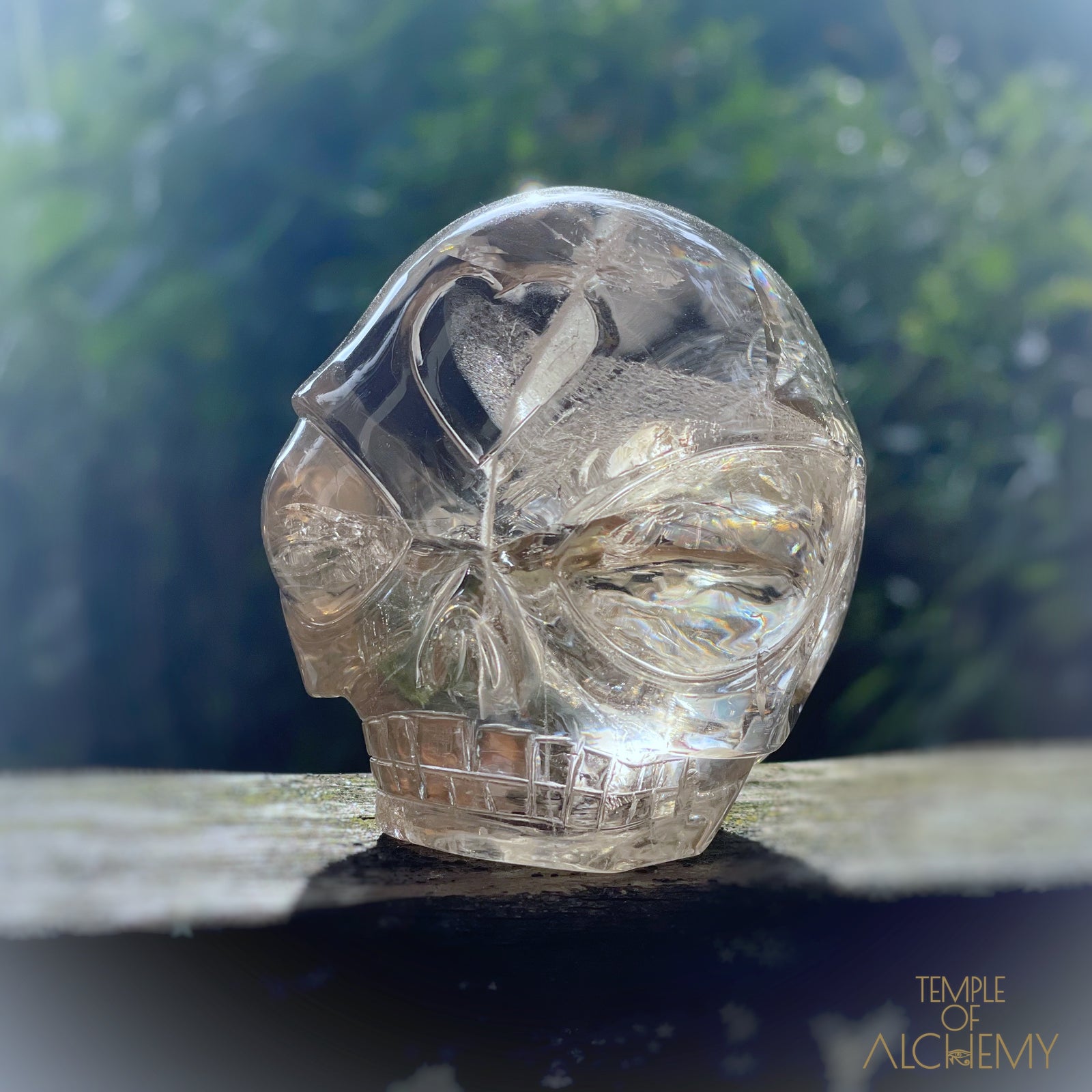 Citrine 👁🌈👁