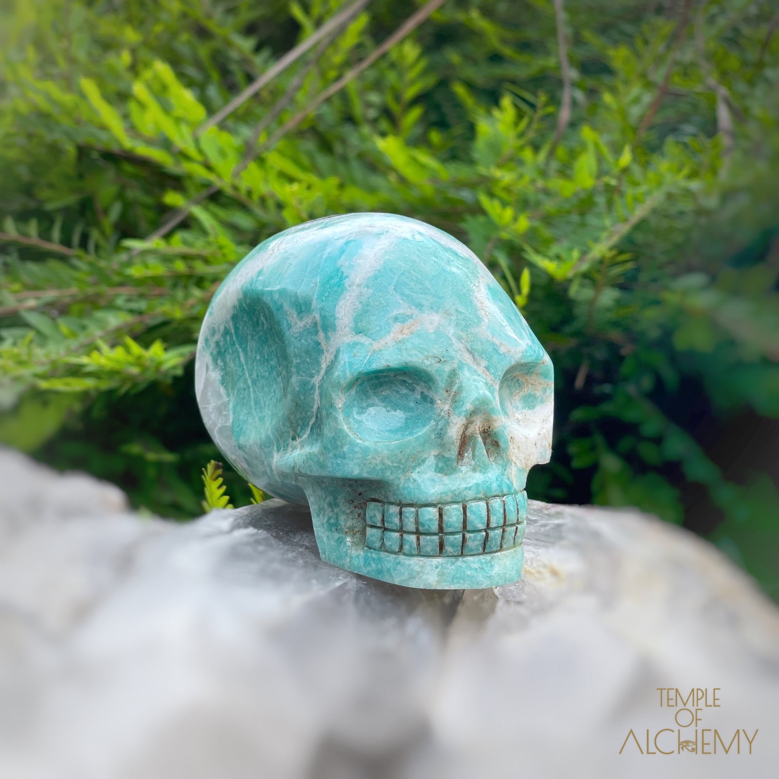 Amazonite x Black Tourmaline