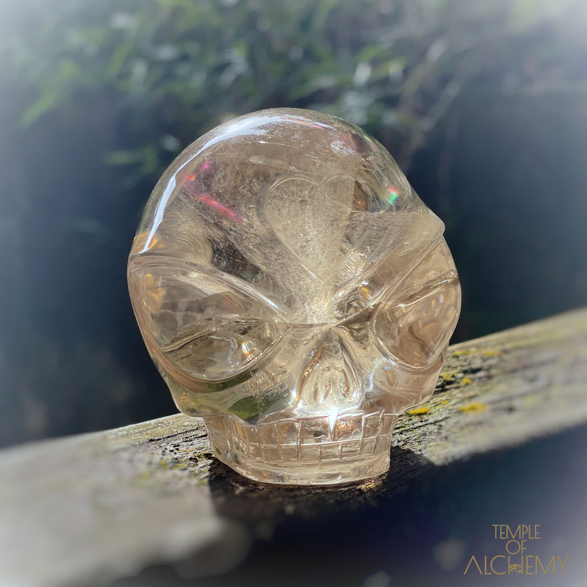 Citrine 👁🌈👁