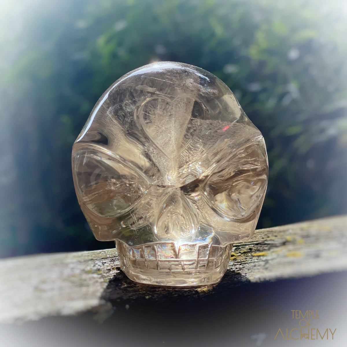 Citrine 👁🌈👁