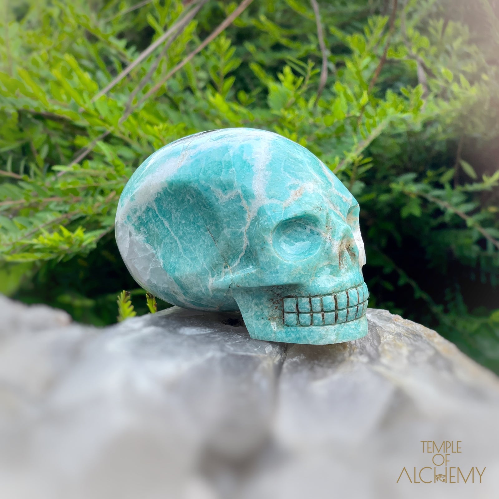 Amazonite x Black Tourmaline