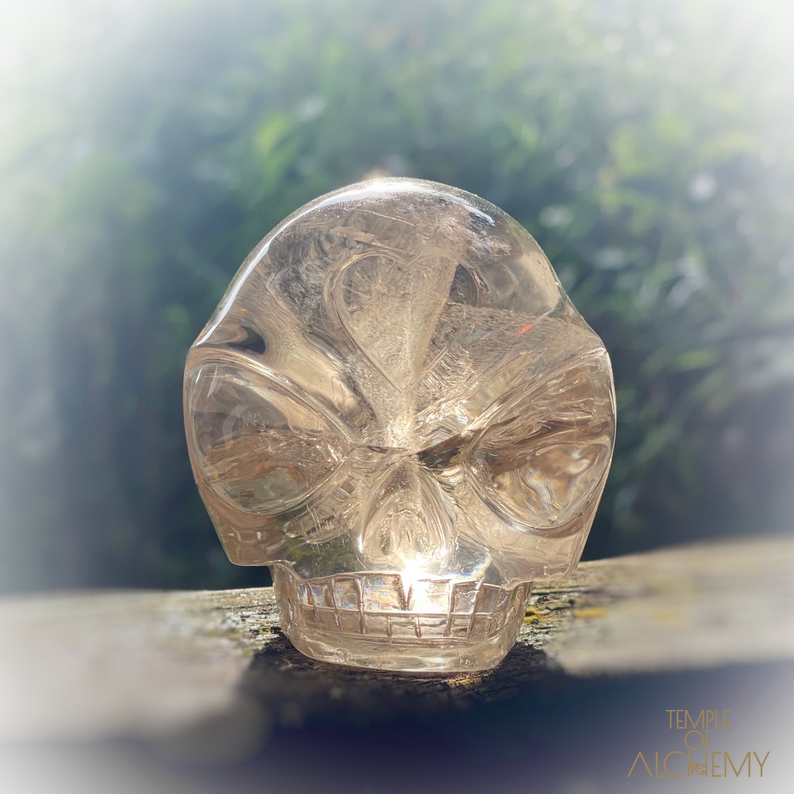 Citrine 👁🌈👁