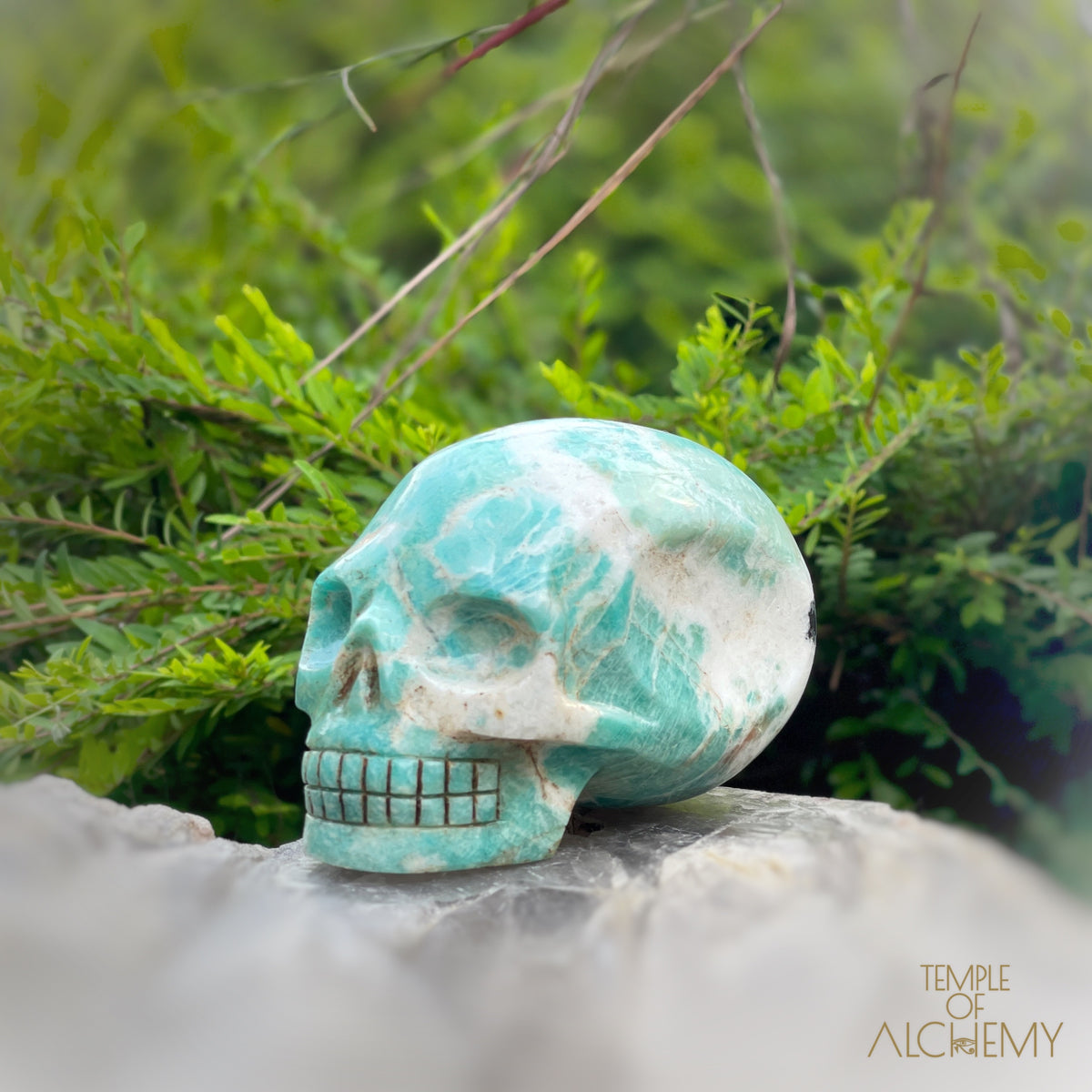 Amazonite x Black Tourmaline