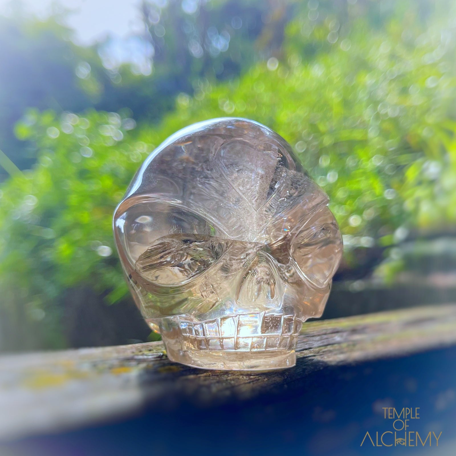 Citrine 👁🌈👁