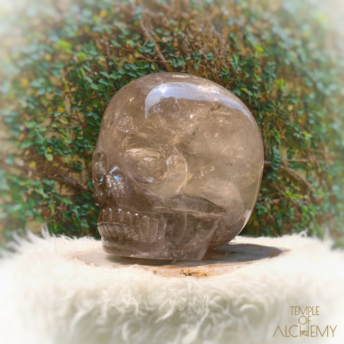 Smoky Citrine Sirius Quartz