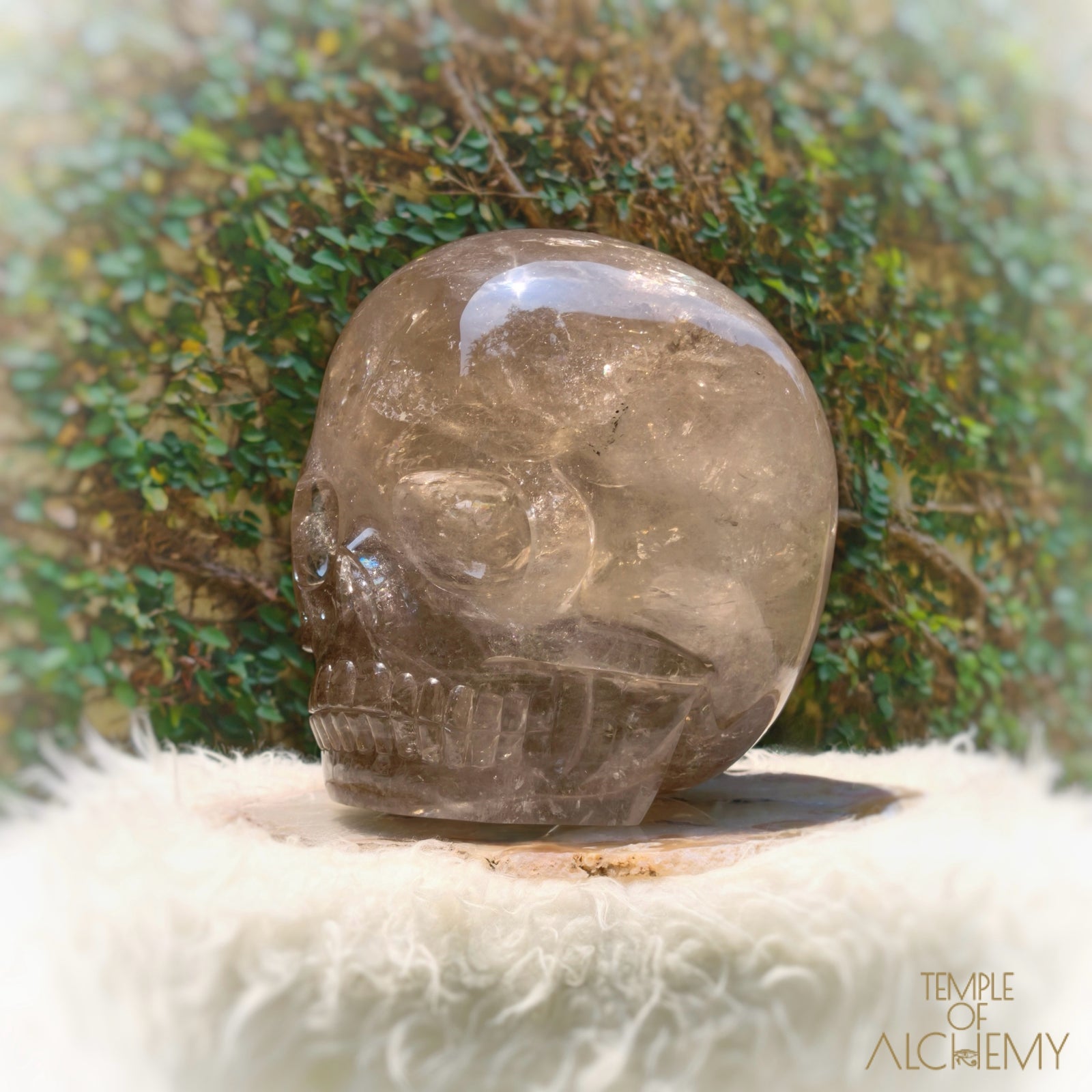 Smoky Citrine Sirius Quartz