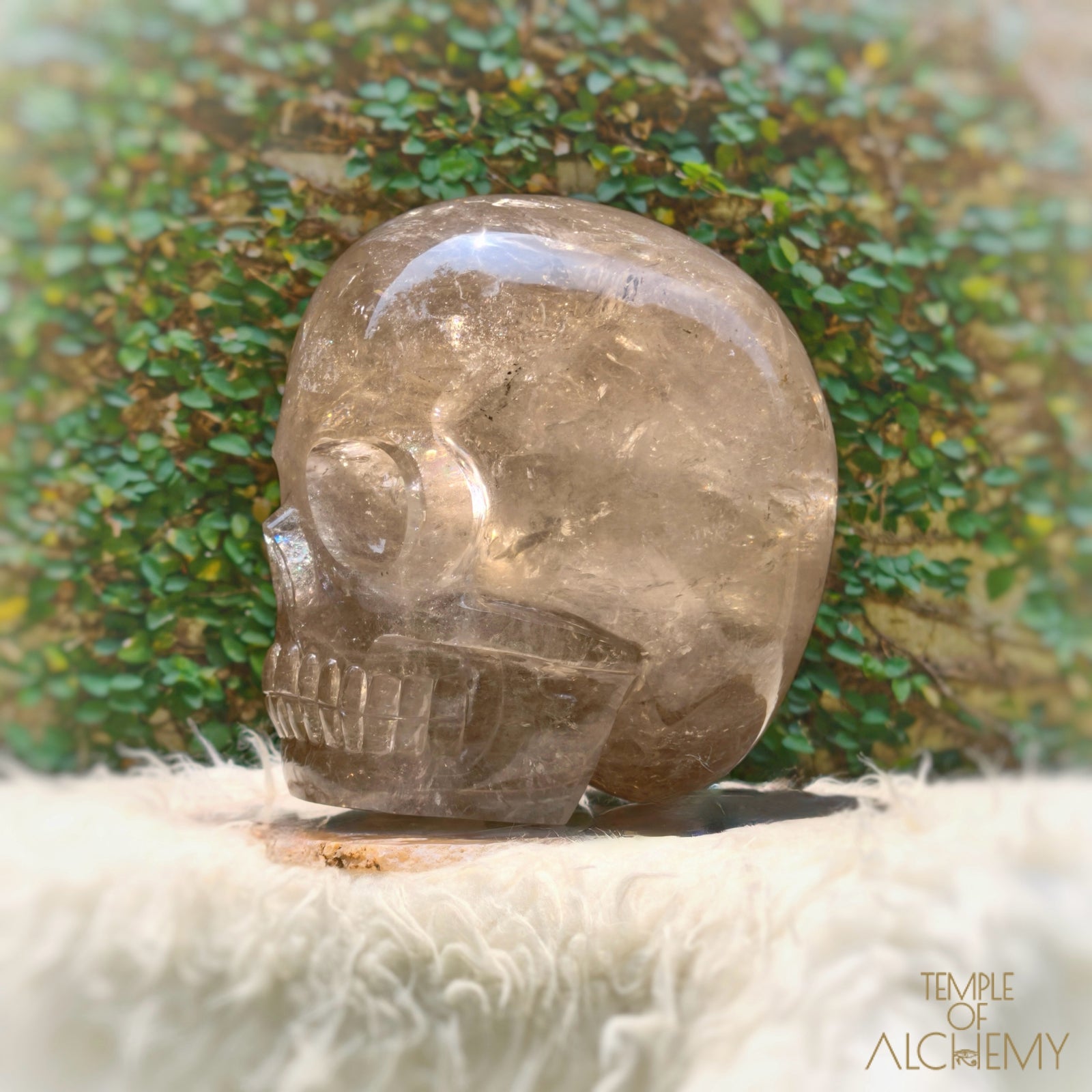 Smoky Citrine Sirius Quartz