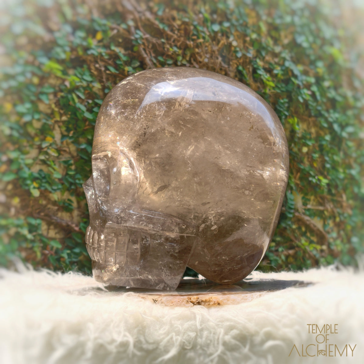 Smoky Citrine Sirius Quartz