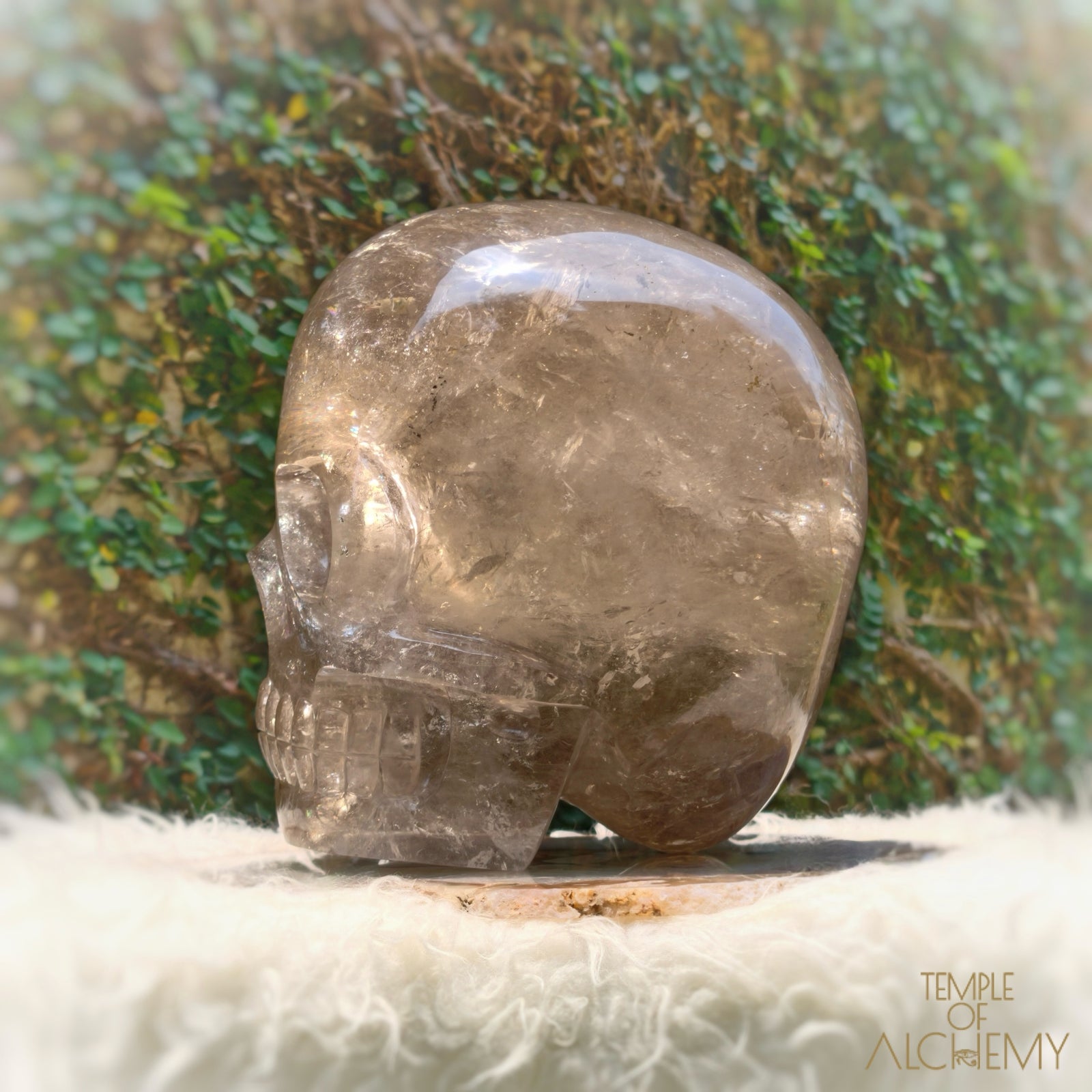 Smoky Citrine Sirius Quartz