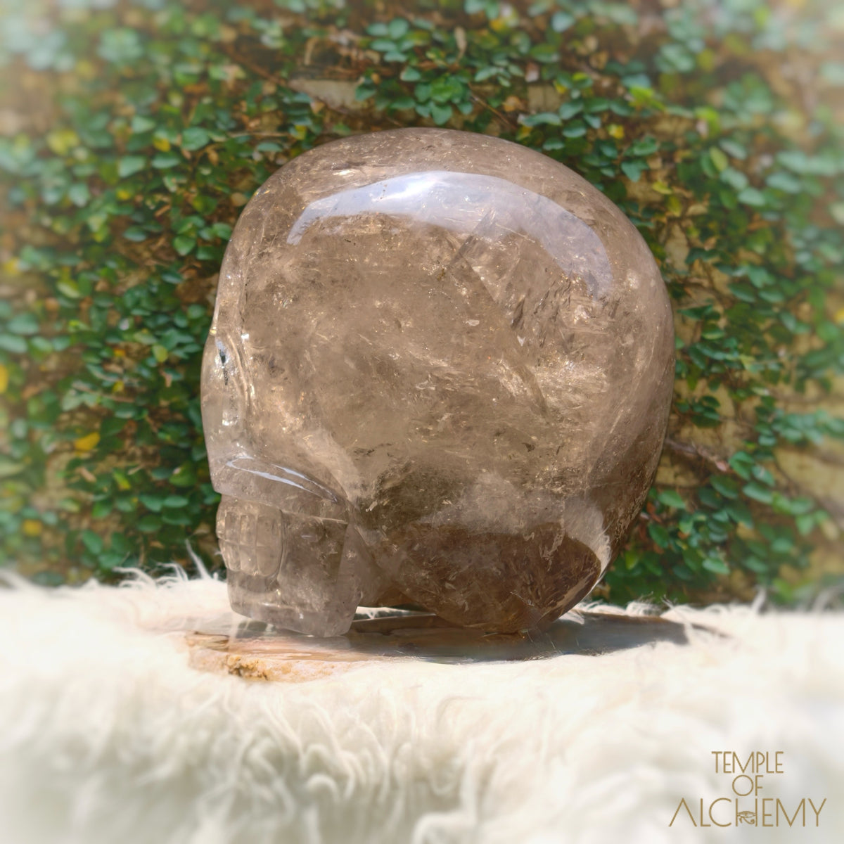 Smoky Citrine Sirius Quartz