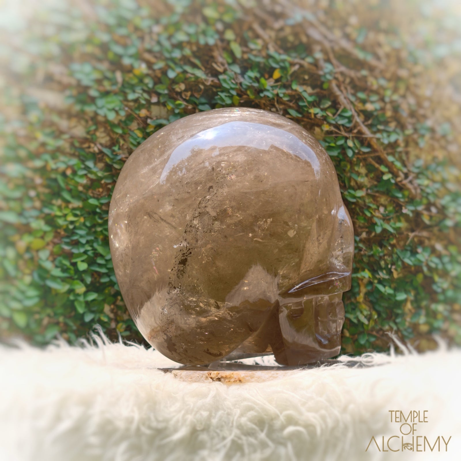 Smoky Citrine Sirius Quartz