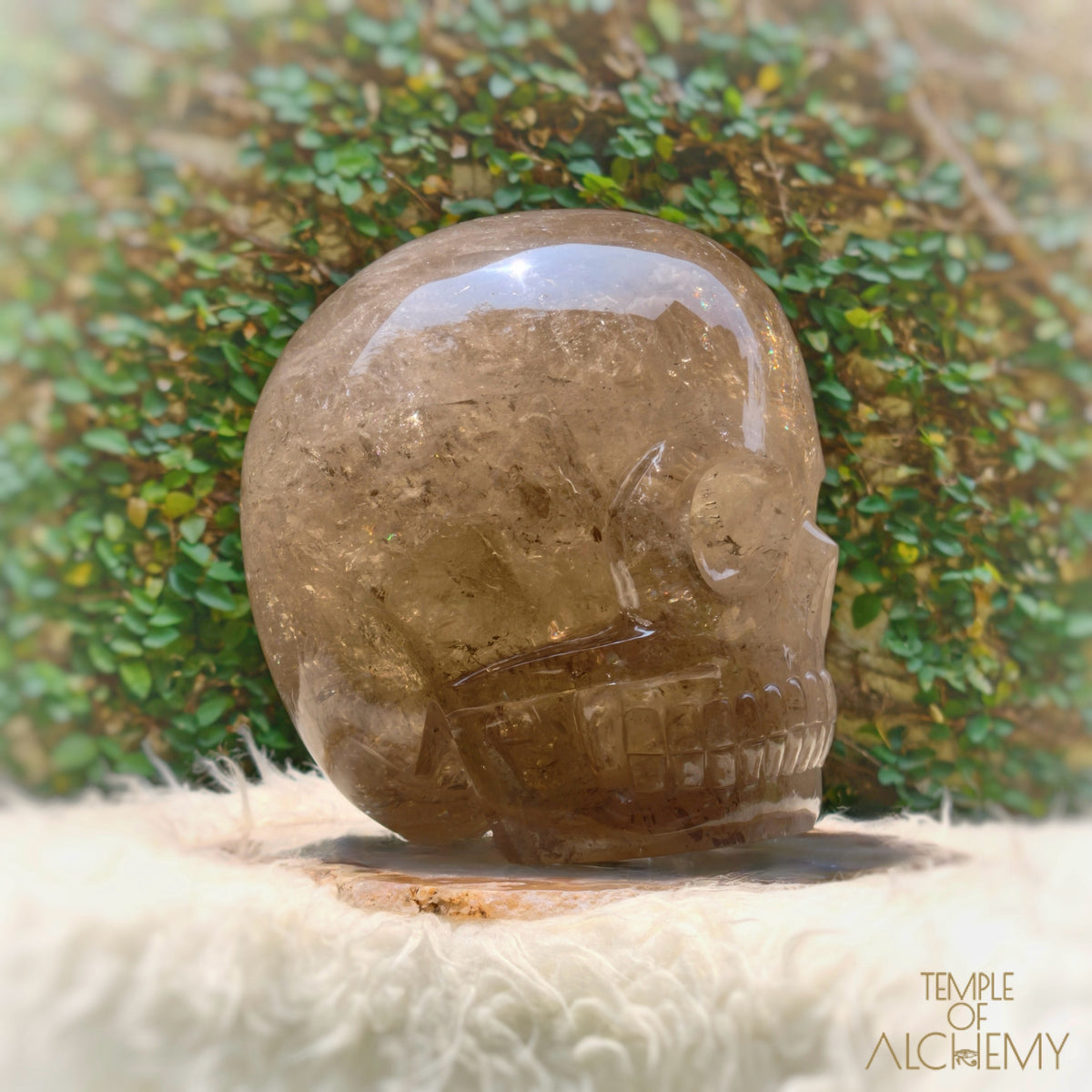 Smoky Citrine Sirius Quartz
