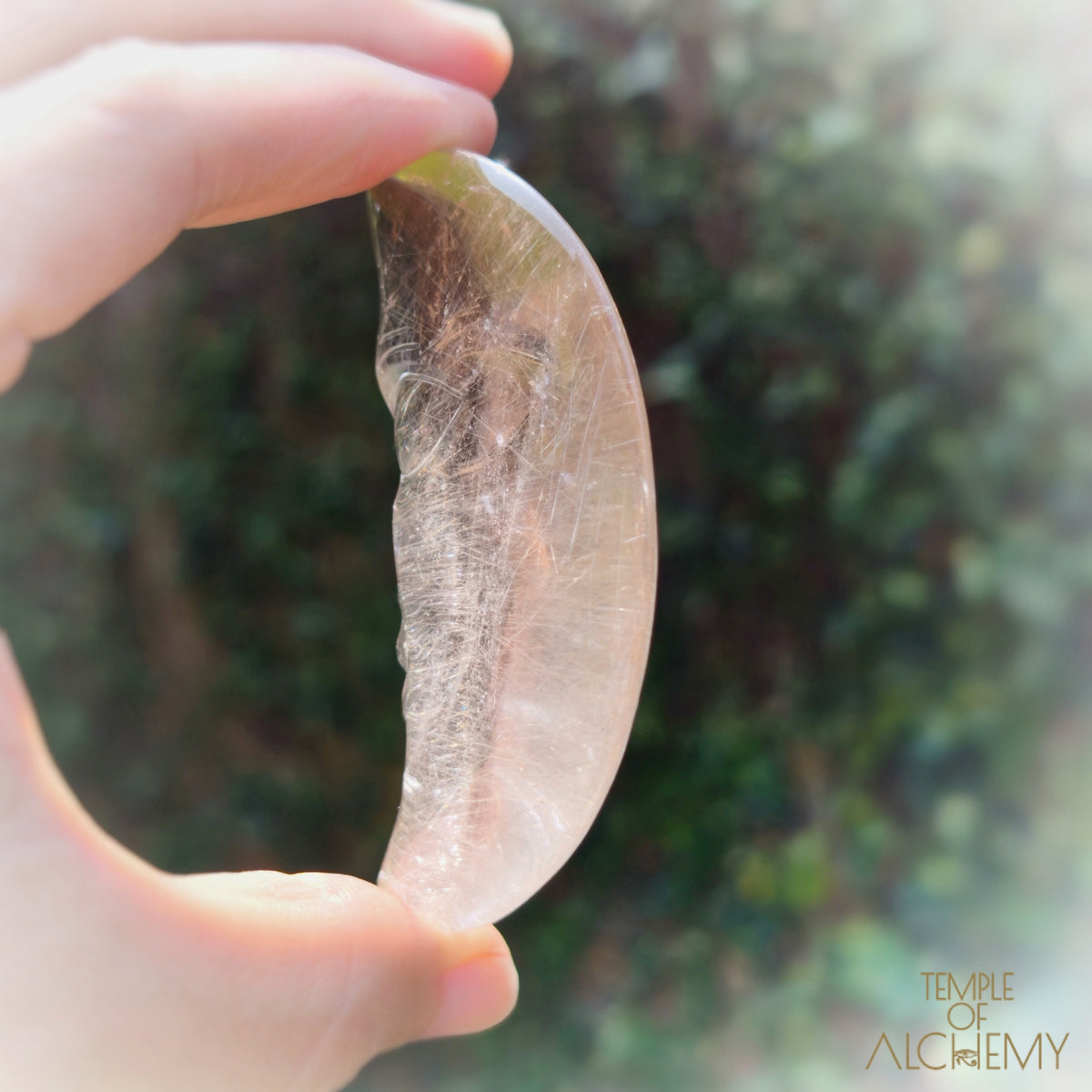 Golden Rutiles in Citrine