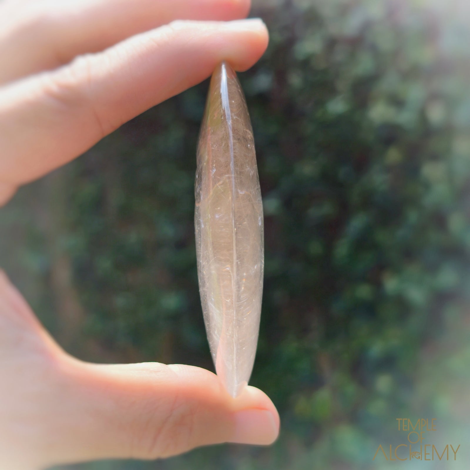 Golden Rutiles in Citrine