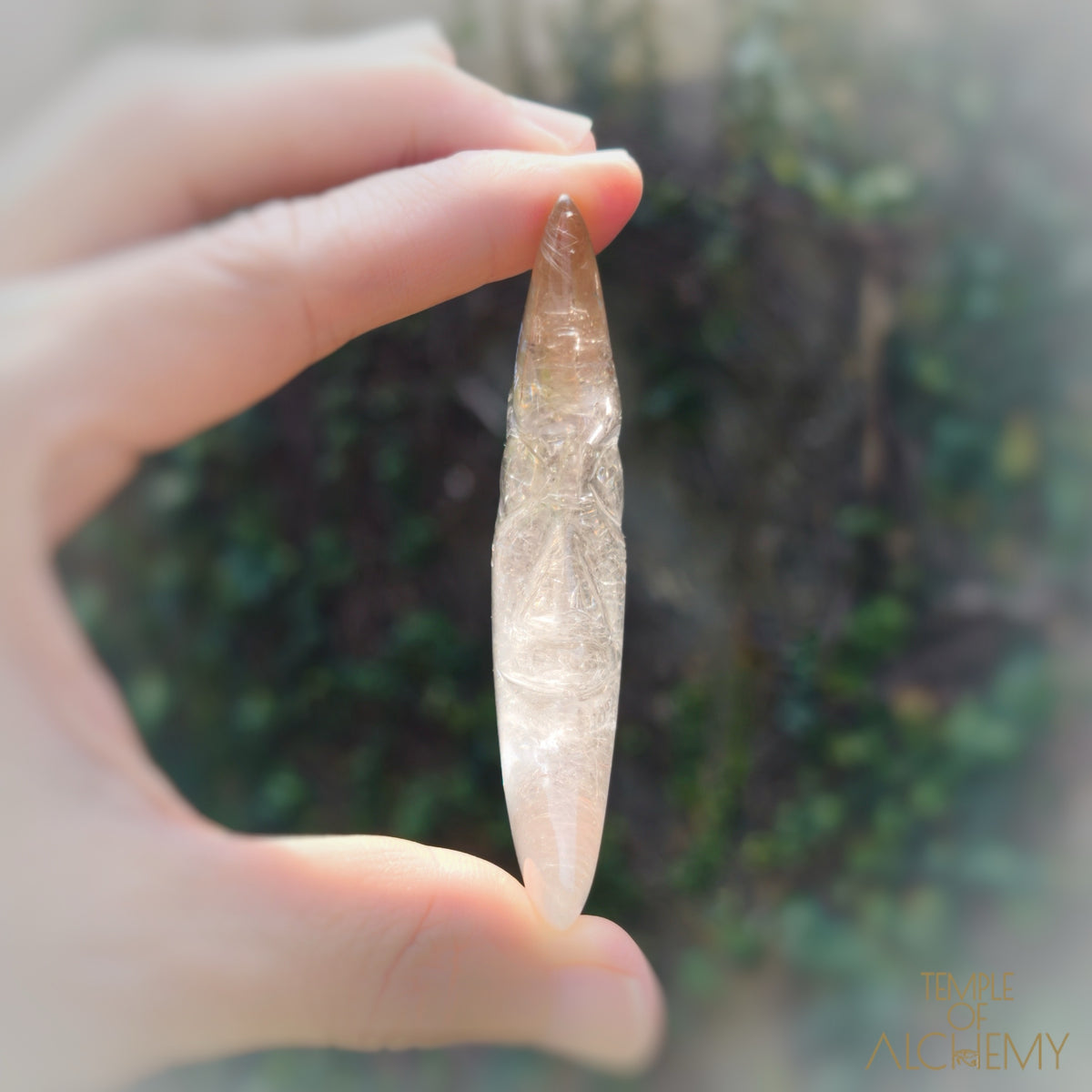 Golden Rutiles in Citrine