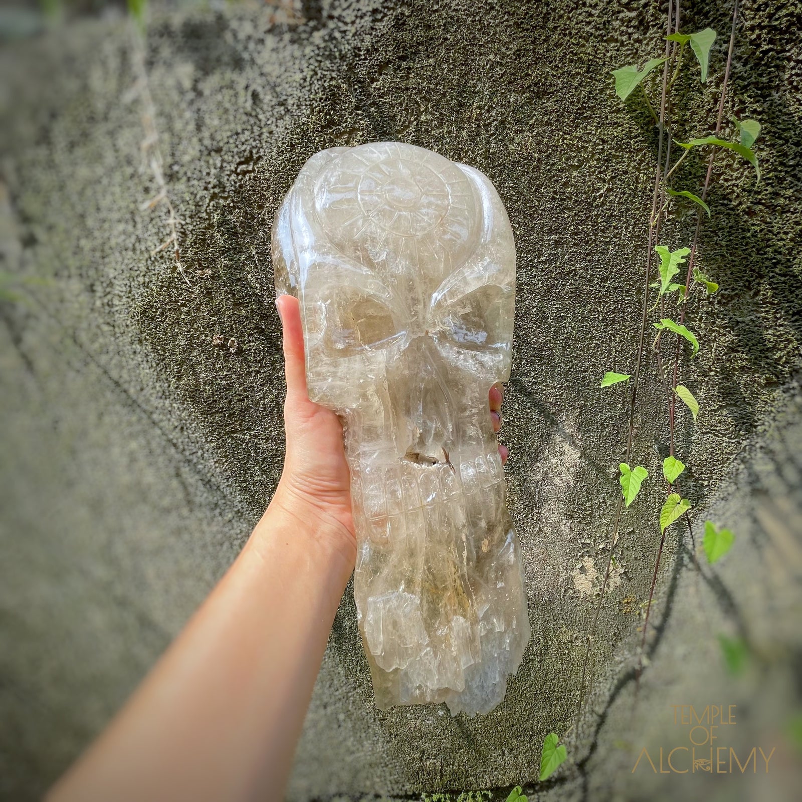 * Reserved A.B * Enhydro Shaman