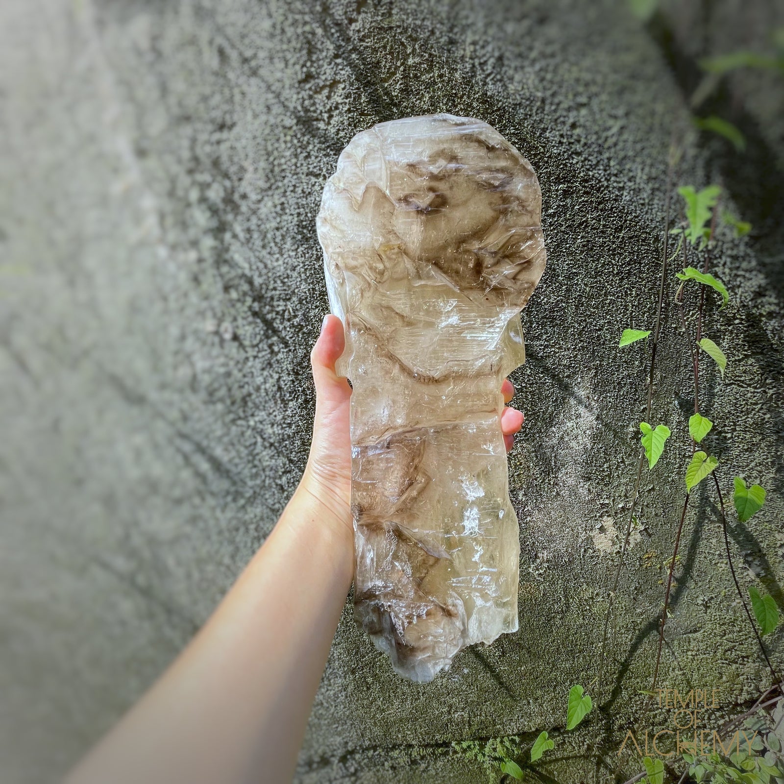 * Reserved A.B * Enhydro Shaman