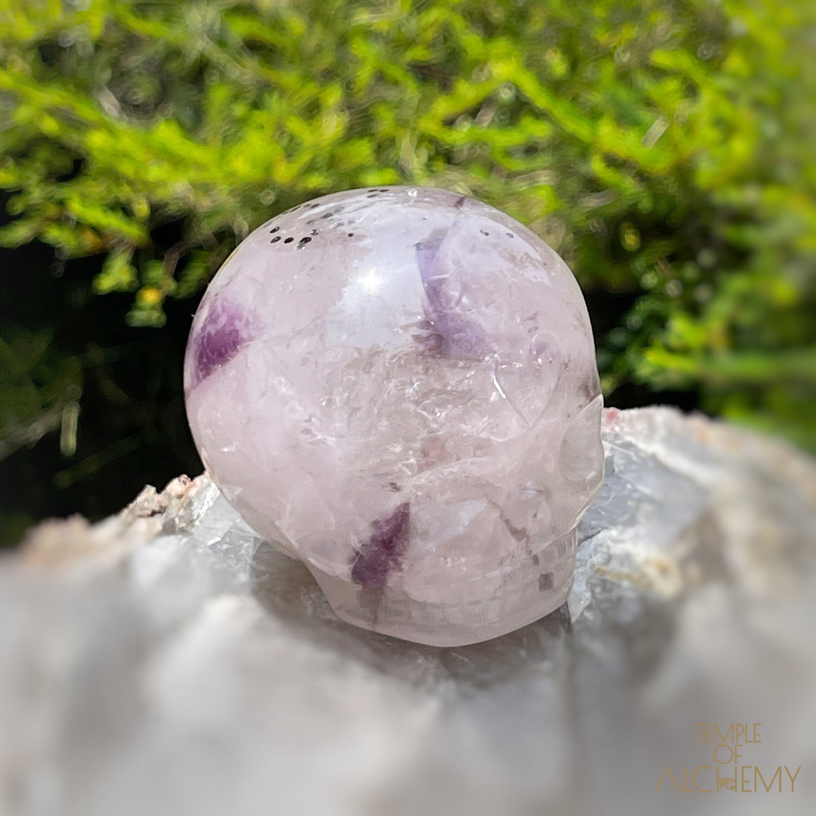 Trapiche Amethyst + Hollandite