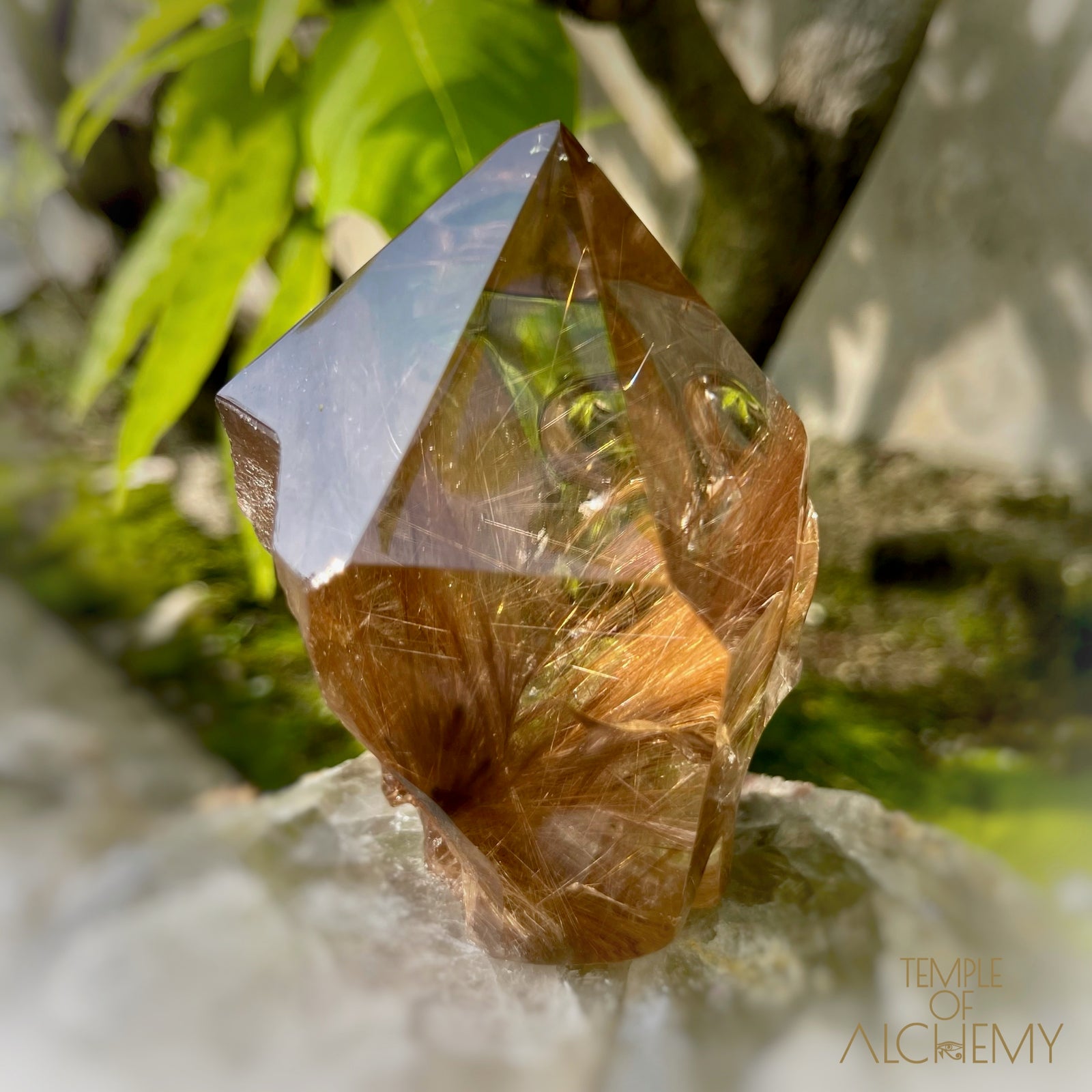 The Power of 2 Beings in 1 𓆃 Smoky Citrine x Golden-Copper Rutiles