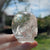 🌈 Lemurian