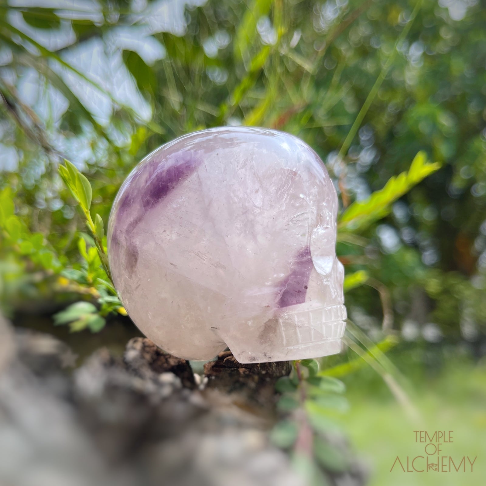 Trapiche Amethyst + Hollandite