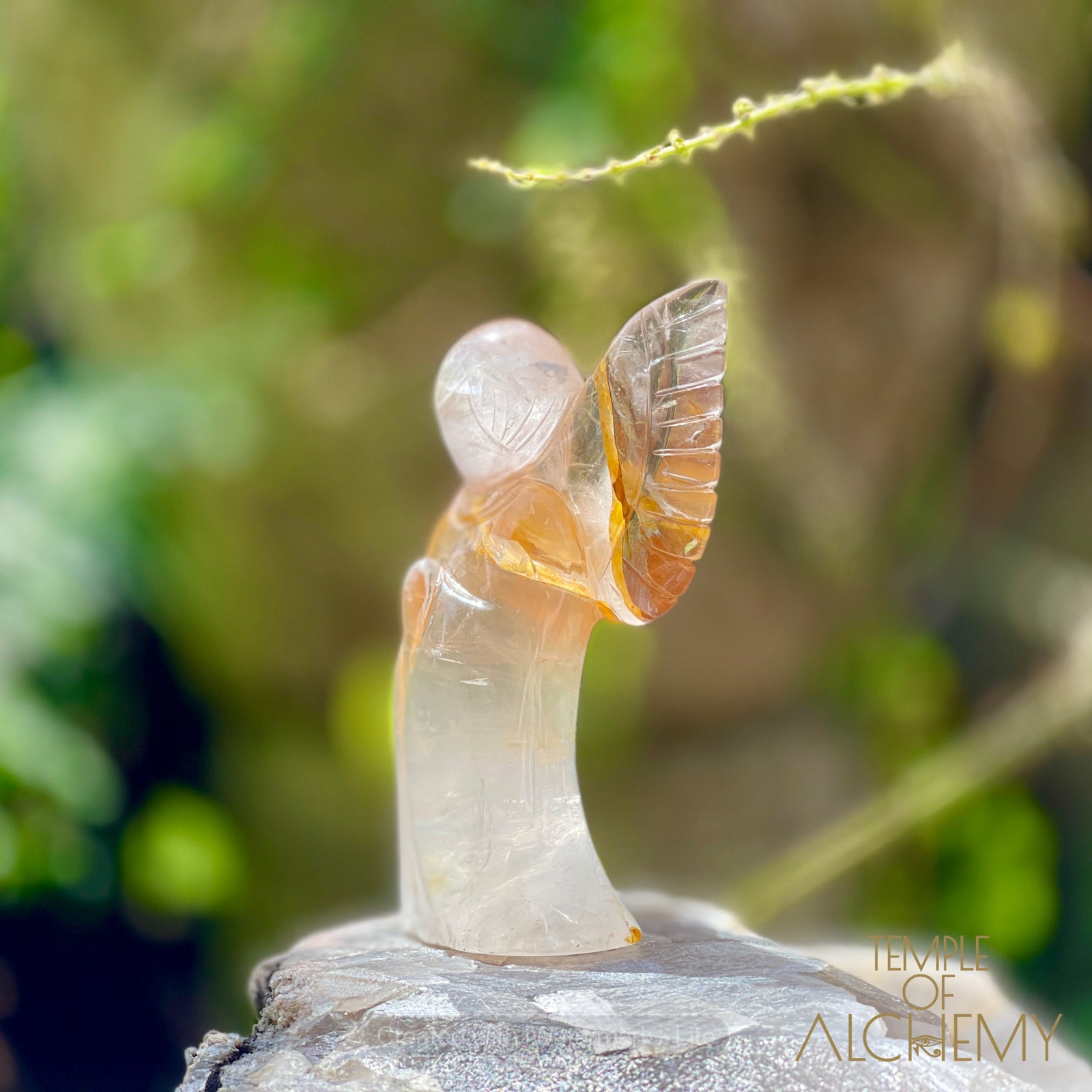 Golden Healer x Girasol Quartz