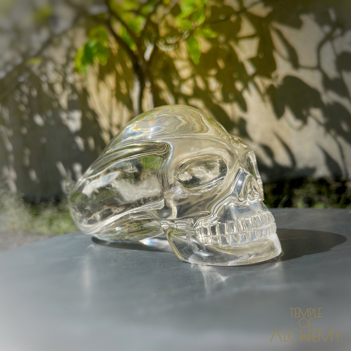 Ascension & Manifestation Quartz 𓄂♡𓆃 Citrine