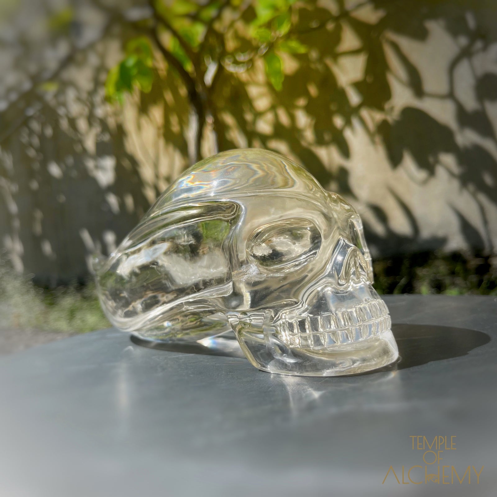 Ascension & Manifestation Quartz 𓄂♡𓆃 Citrine