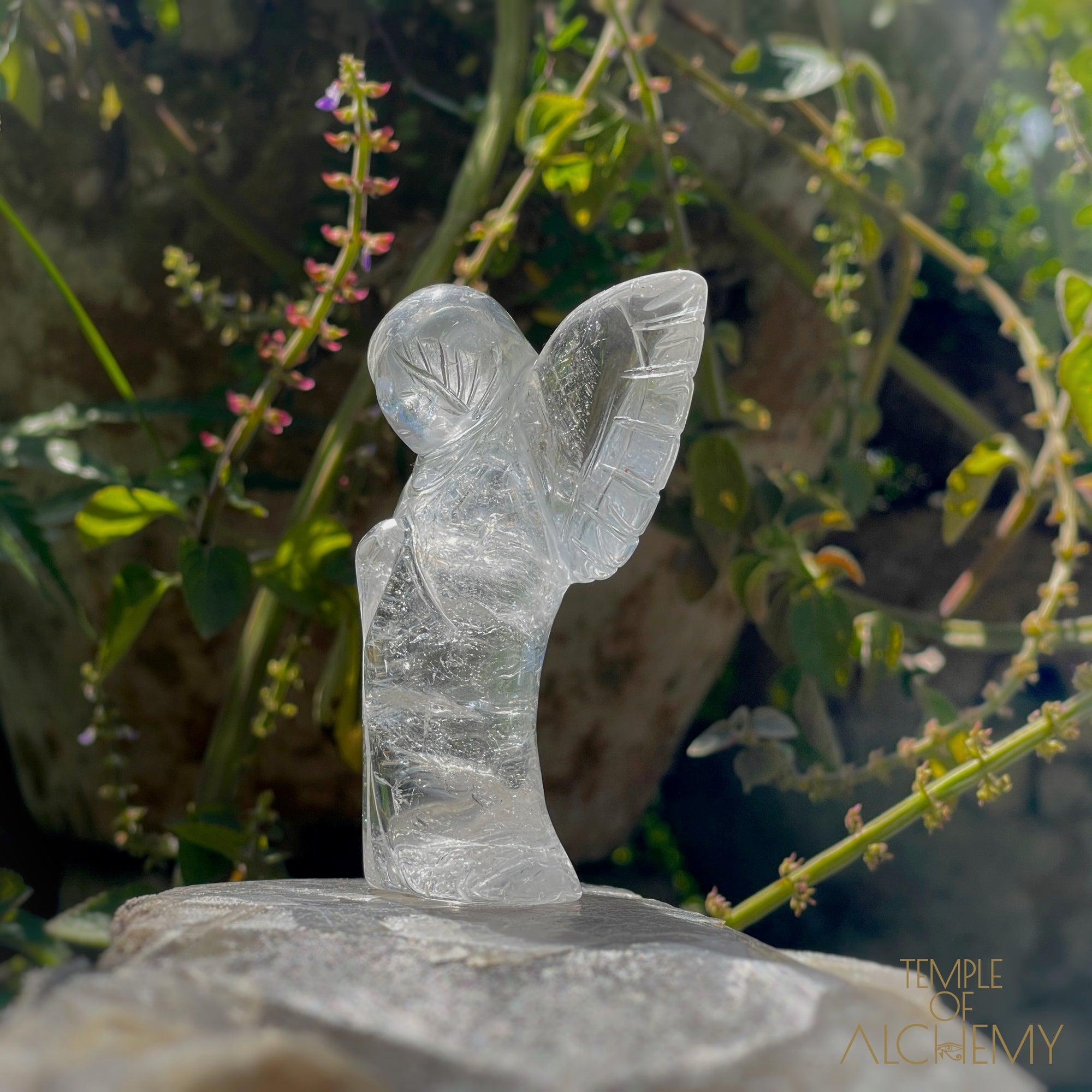 Golden Rutile in Clear Quartz