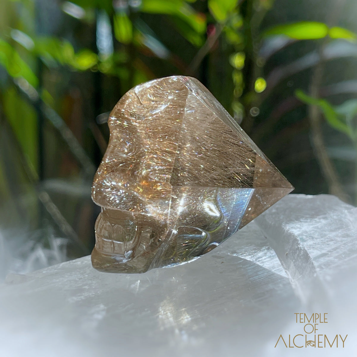 Smoky Citrine x Golden-Copper Rutiles