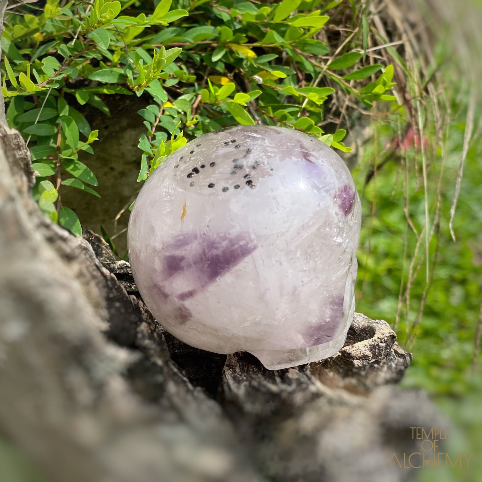 Trapiche Amethyst + Hollandite