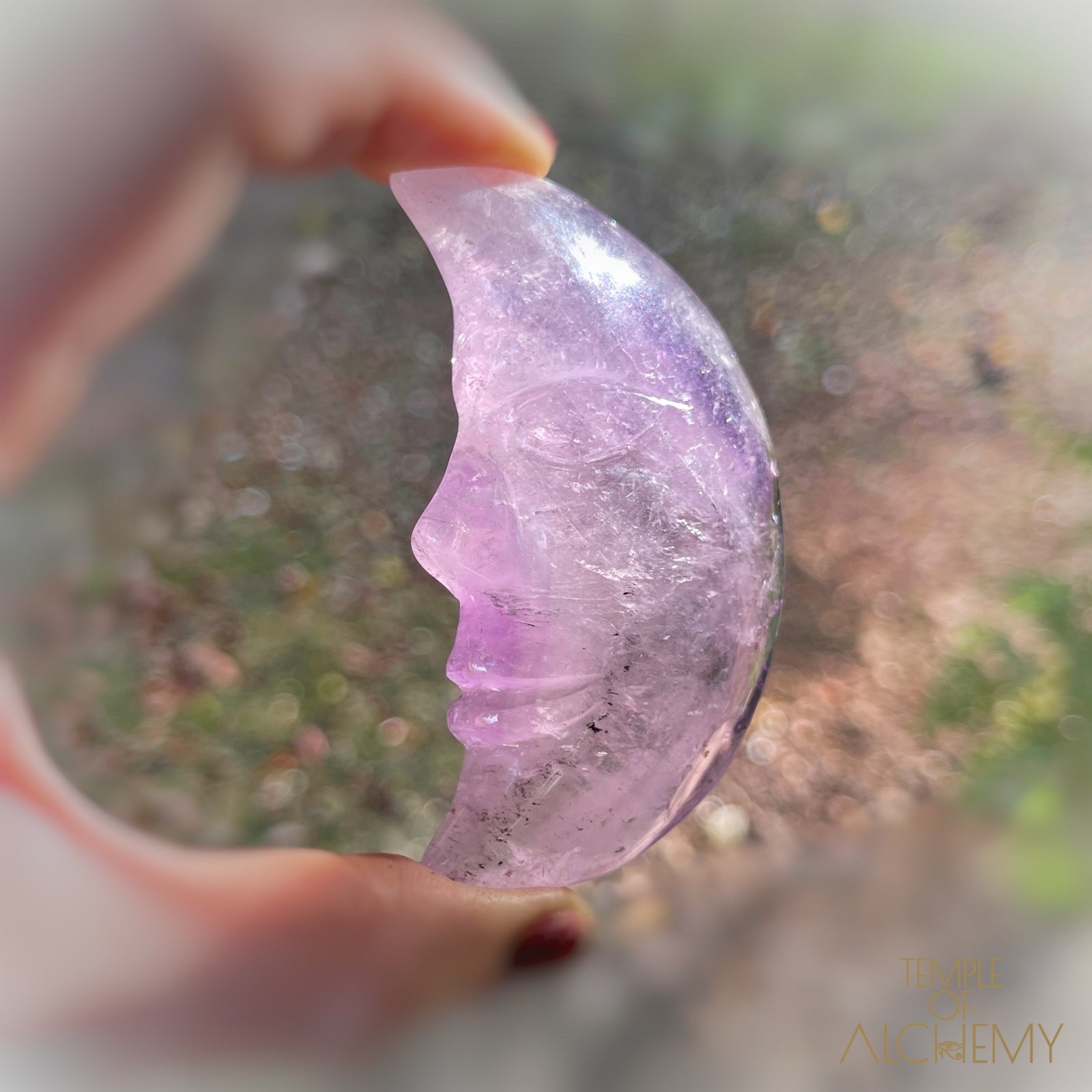 * RESERVED S.A * Phantom Amethyst