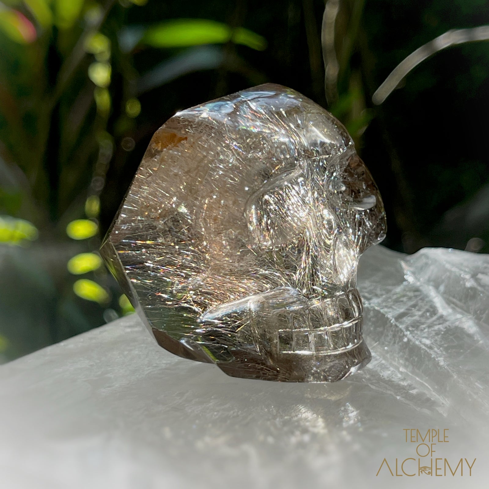 Smoky Citrine x Golden-Copper Rutiles