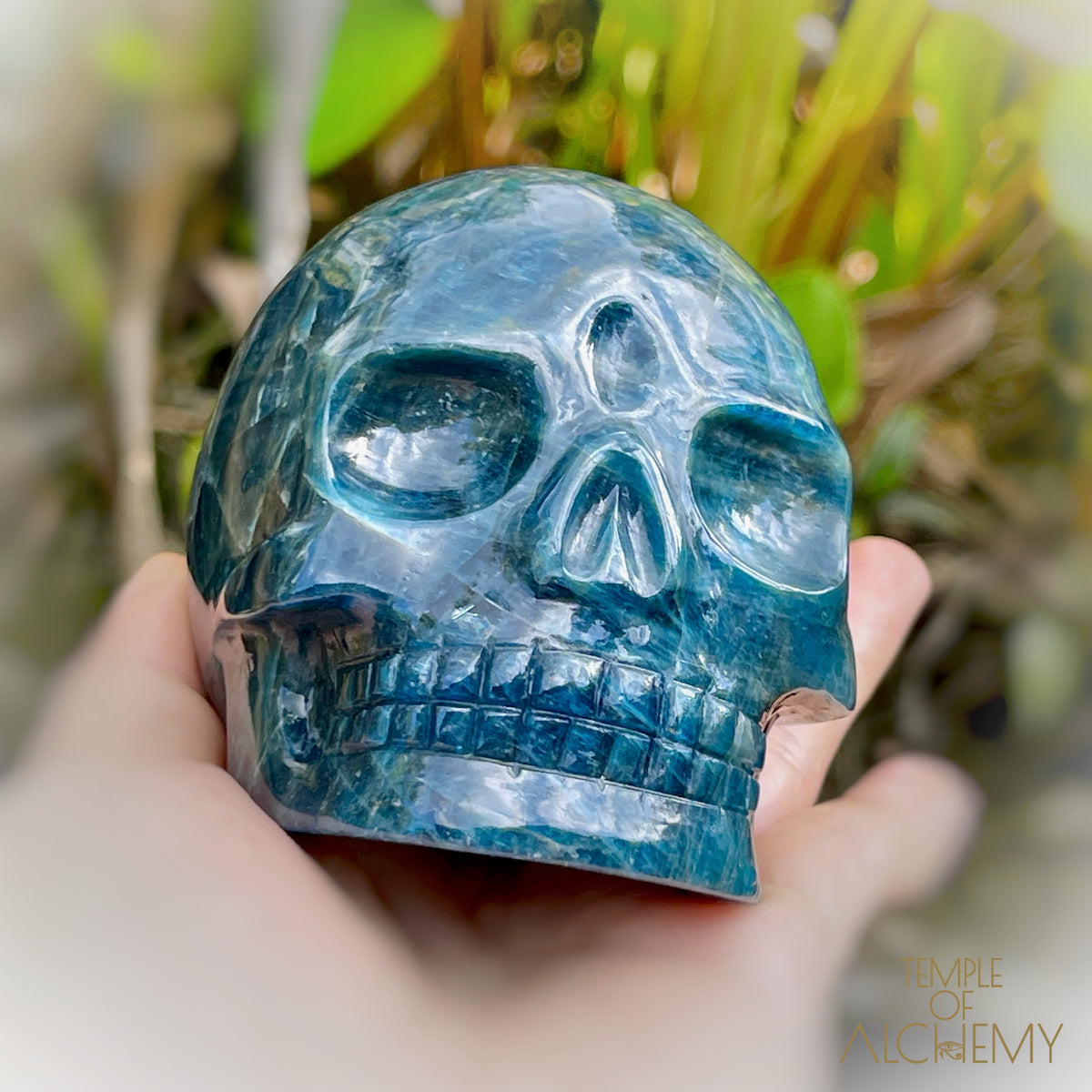 Cat's Eye Apatite Blue Apatite