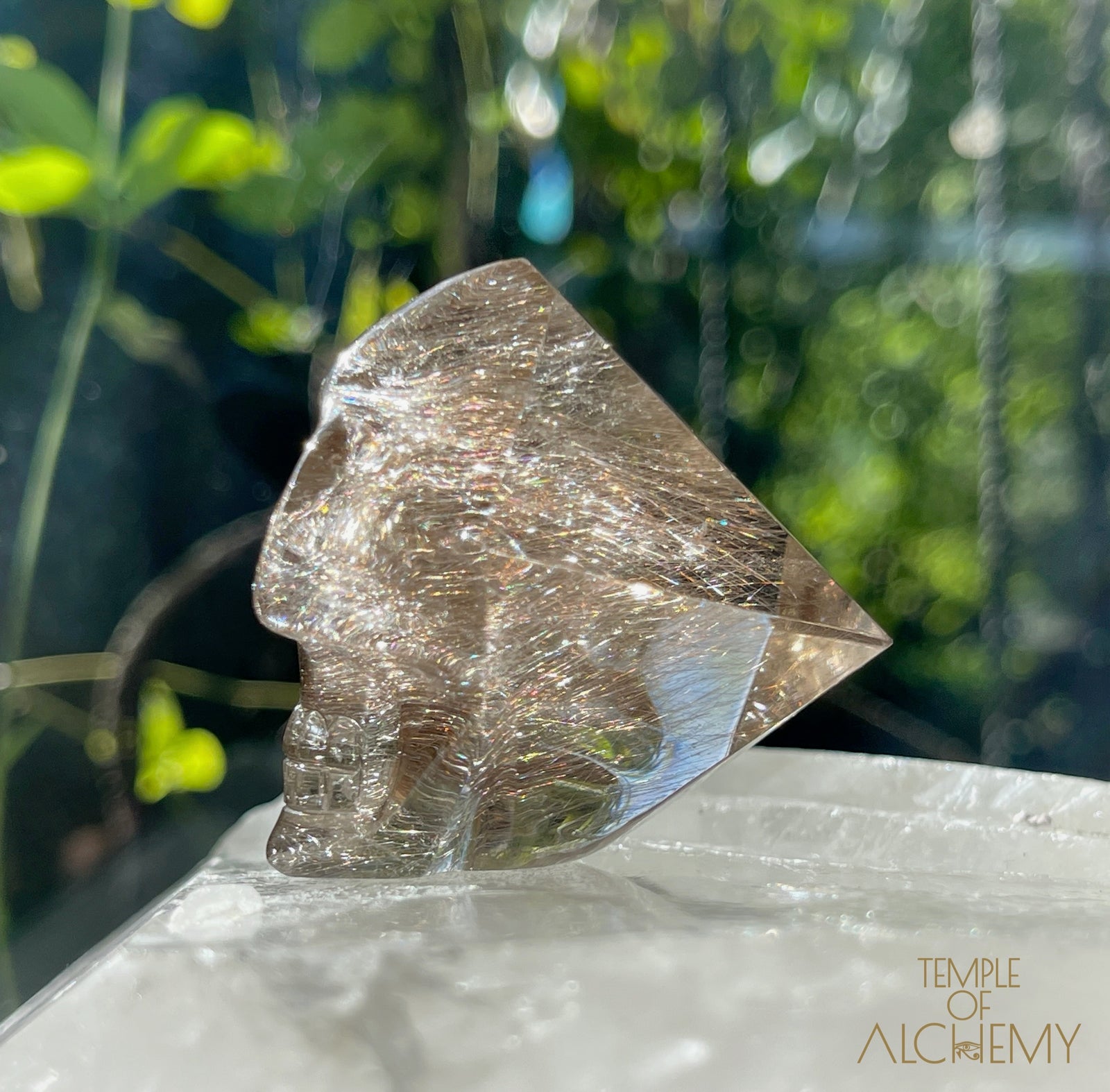 Smoky Citrine x Golden-Copper Rutiles