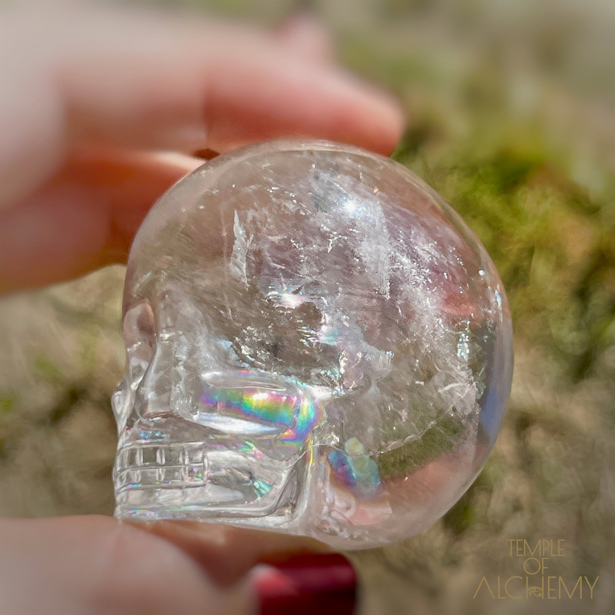 🌈 Lemurian