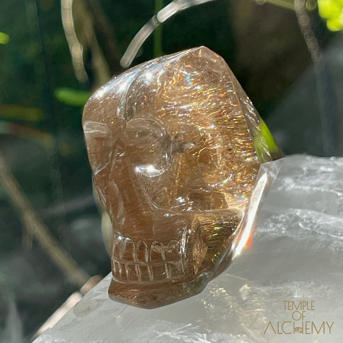 Smoky Citrine x Golden-Copper Rutiles