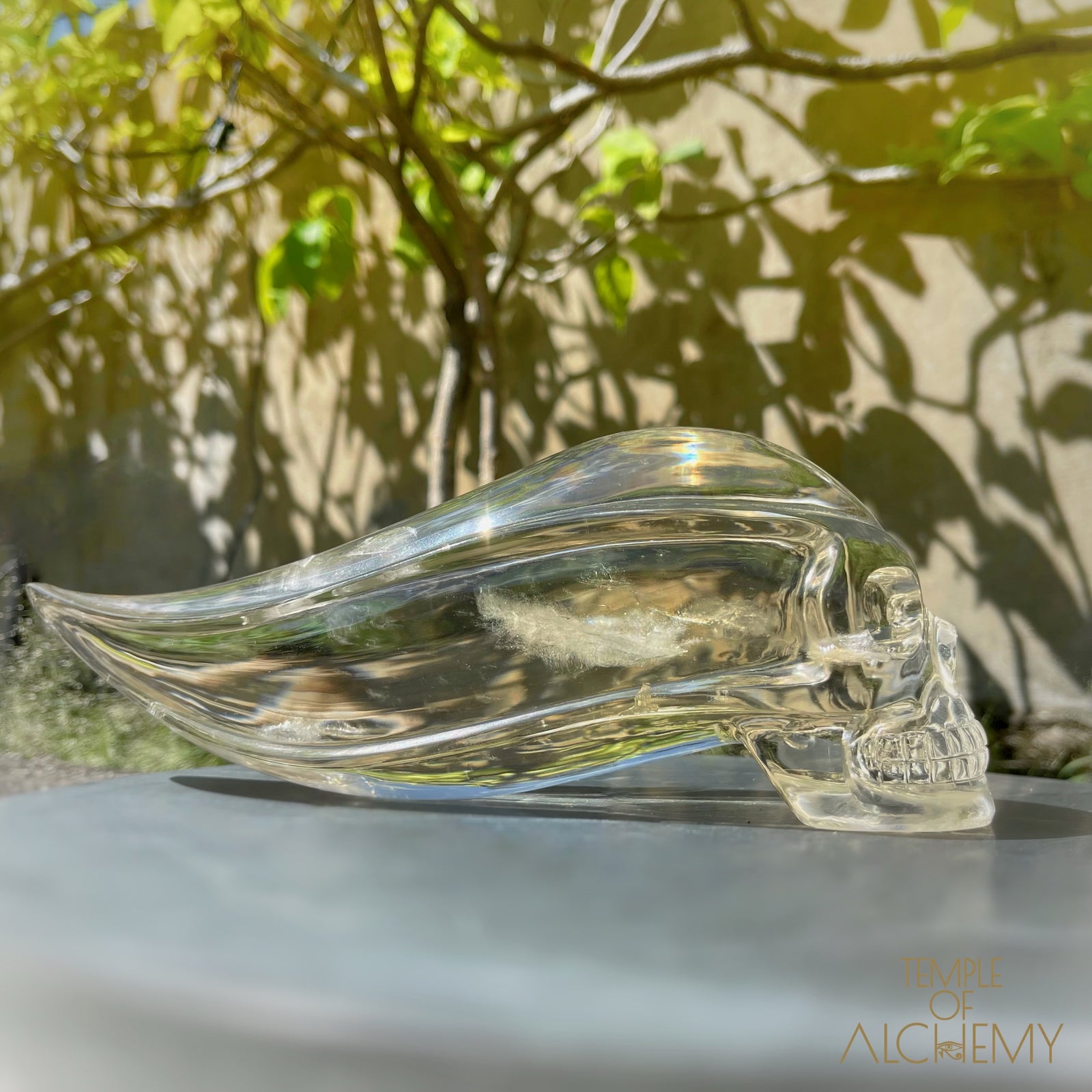 Ascension & Manifestation Quartz 𓄂♡𓆃 Citrine