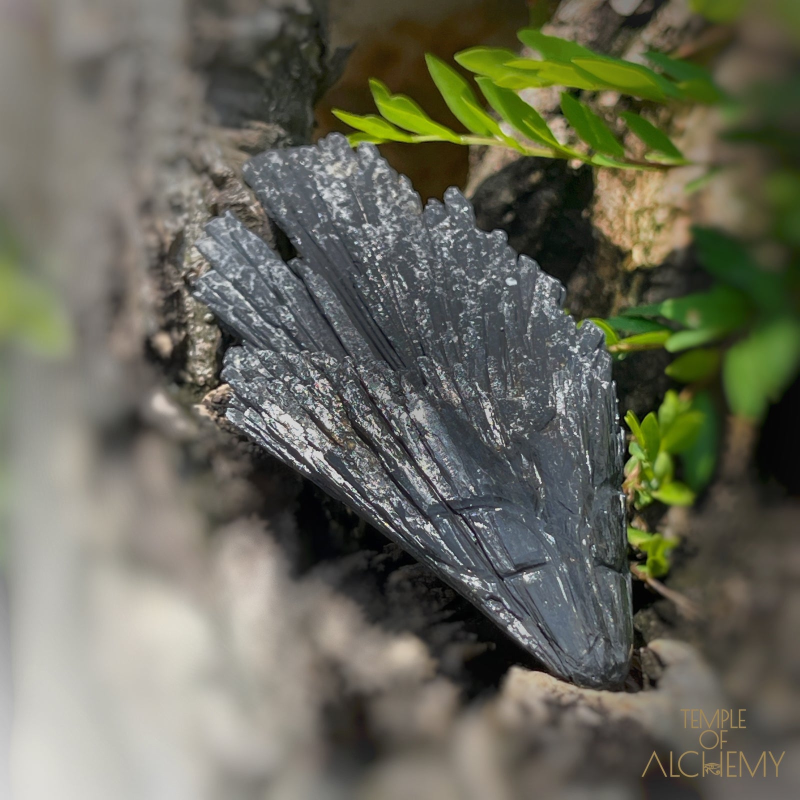 Black Kyanite