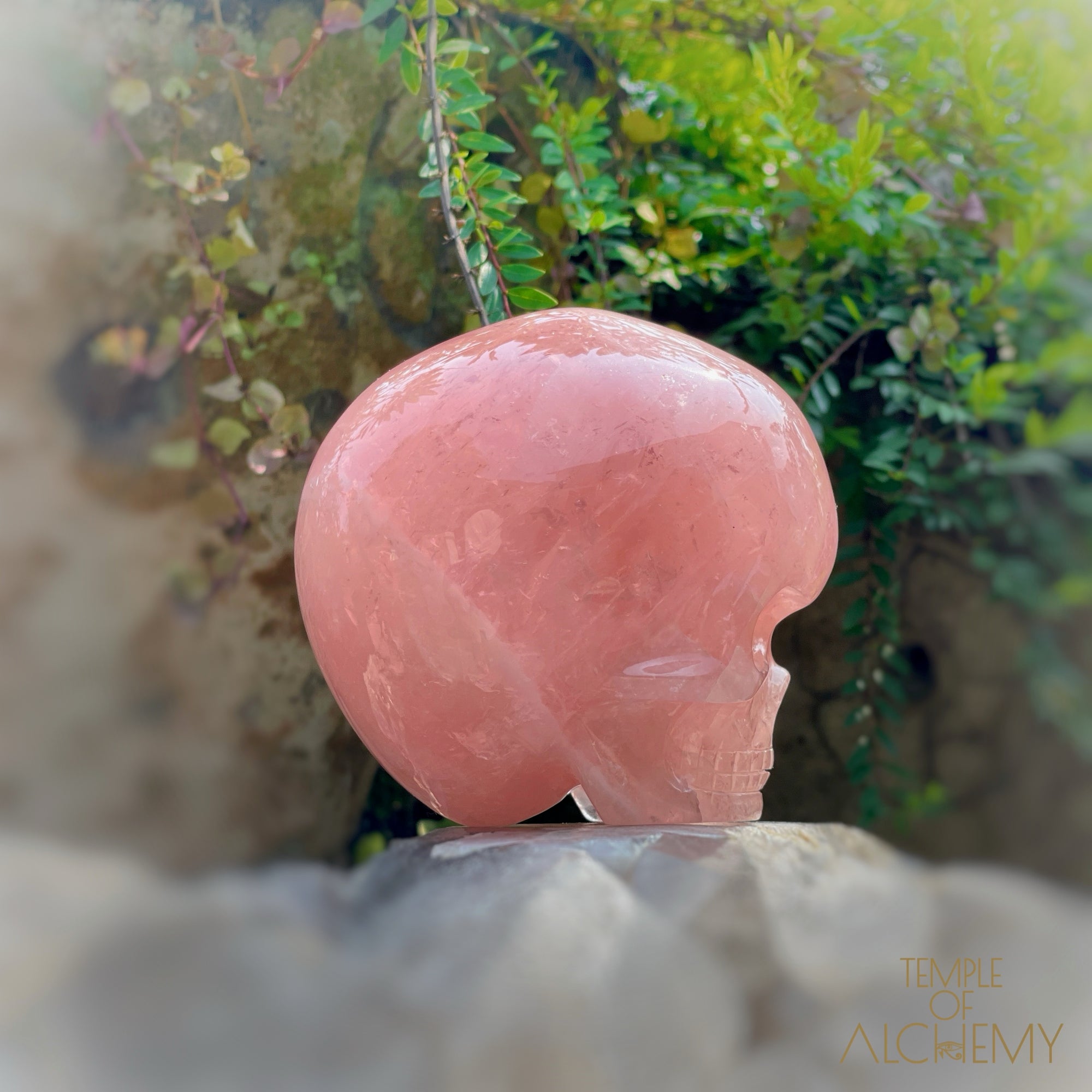 Cat's Eye Rose Quartz