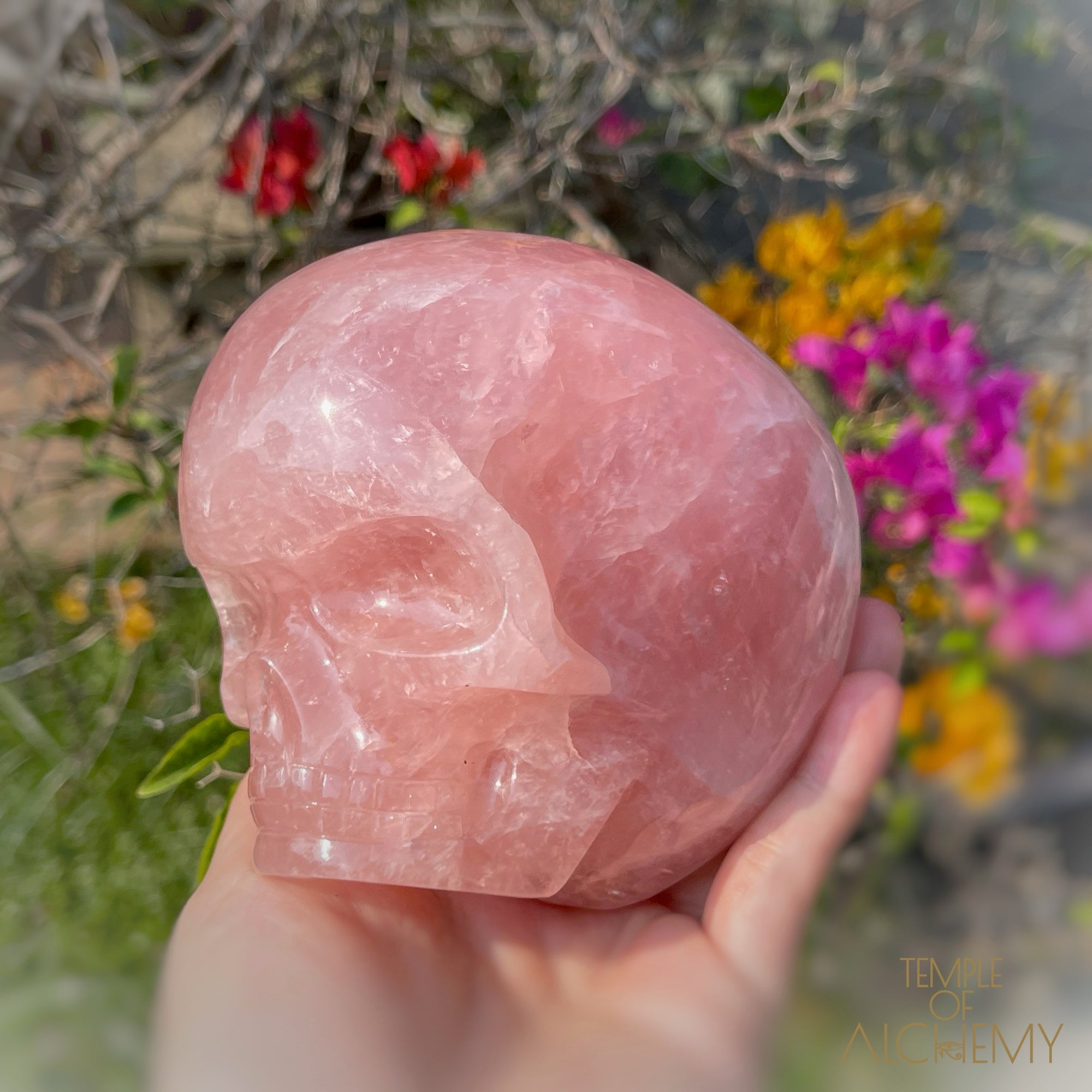 Cat's Eye Rose Quartz