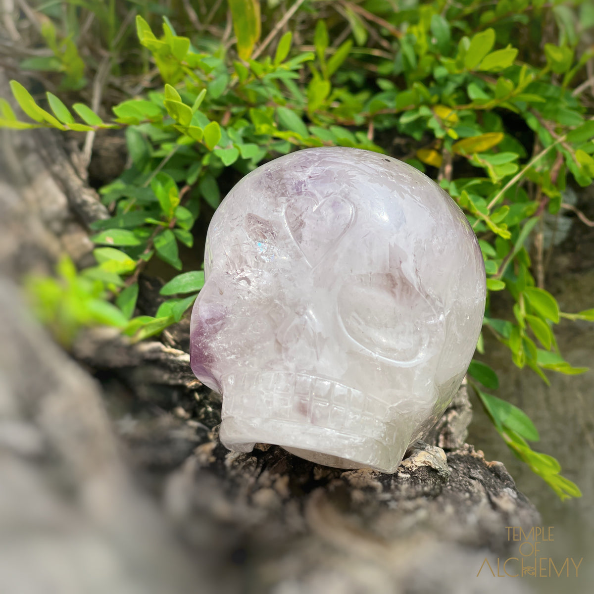 Trapiche Amethyst + Hollandite