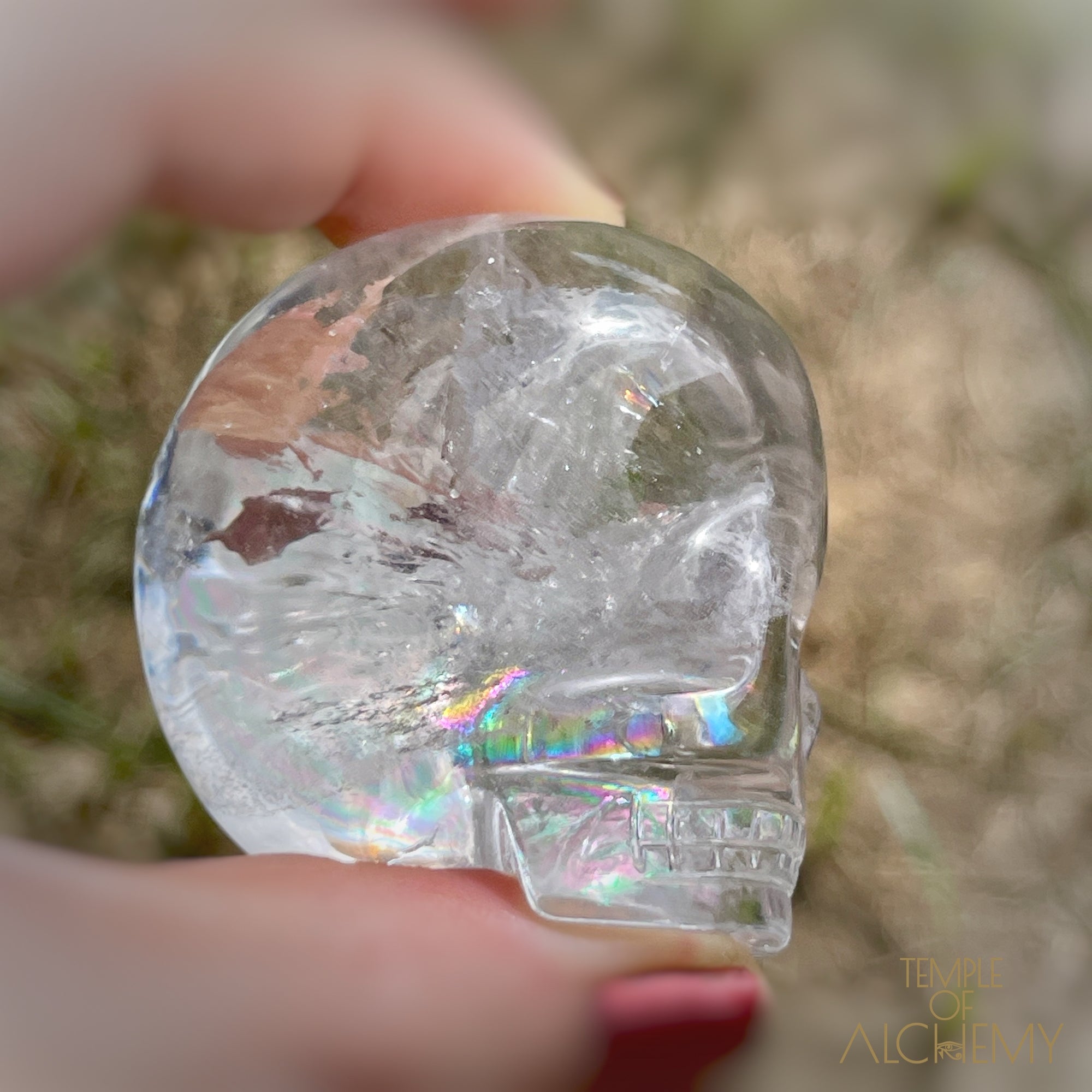 🌈 Lemurian