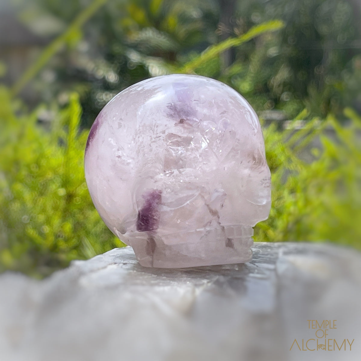 Trapiche Amethyst + Hollandite
