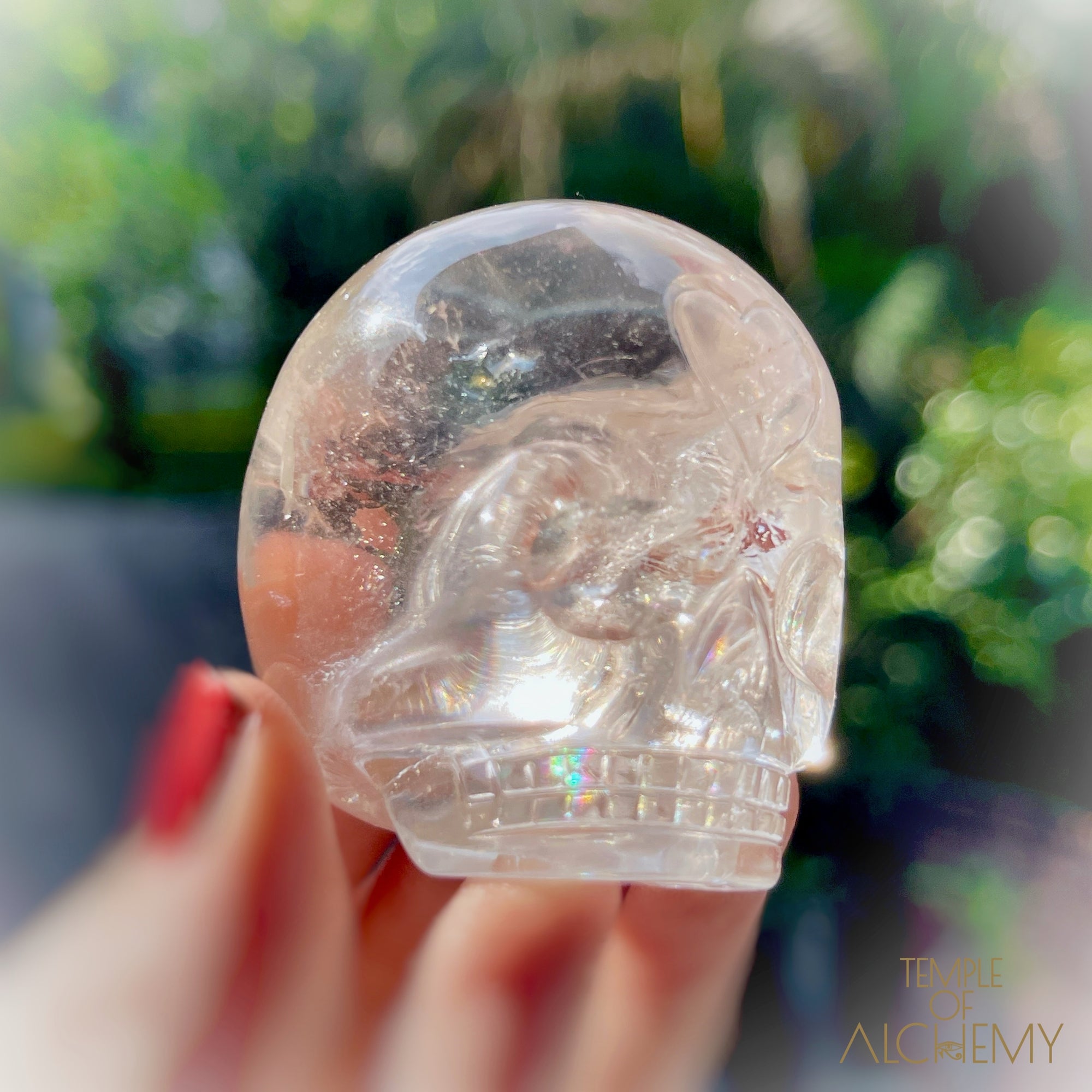 🌈 Lemurian