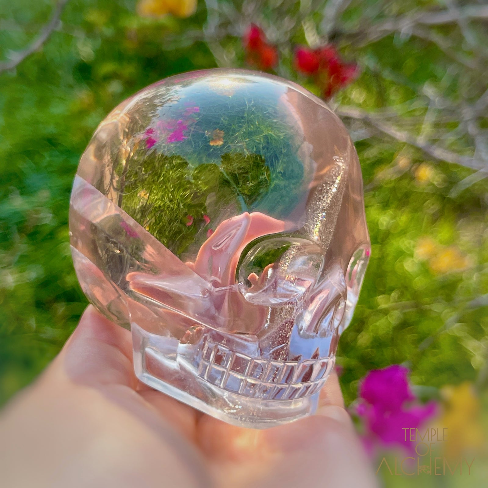 Ascension 𓄂♡𓆃 Citrine